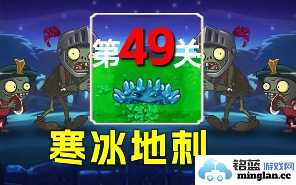 如何轻松攻略植物大战僵尸杂交版冒险模式第49关，攻克这一难关的秘籍